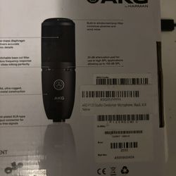 P120 Condenser Microphone 