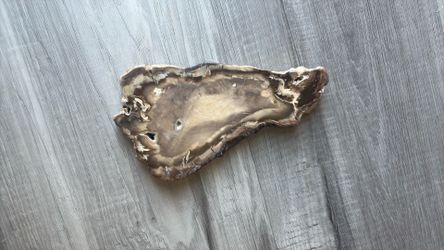 Vintage petrified wood