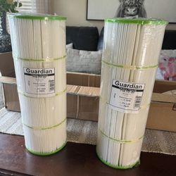 New Guardian Pool Filters 2 Pack