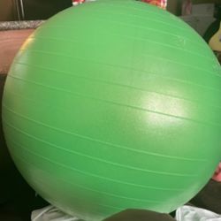 Golds Gym Exercise Ball