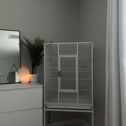 Bird cage 