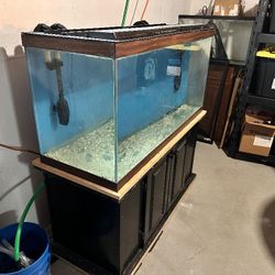 90 Gallon Fish Tank Just Tank