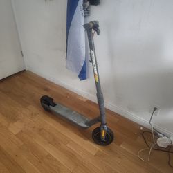 Shell Scooter