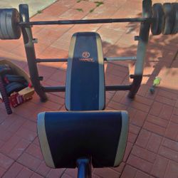 Weight Bench And Weights 