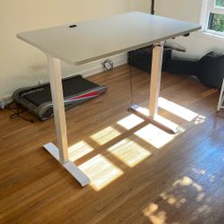 Adjustable Standing Desk
