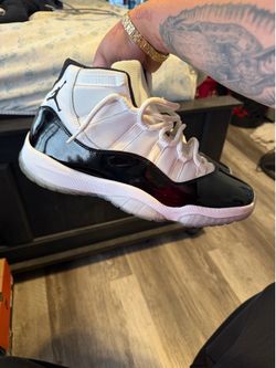 Air Jordan 11 concords size 13