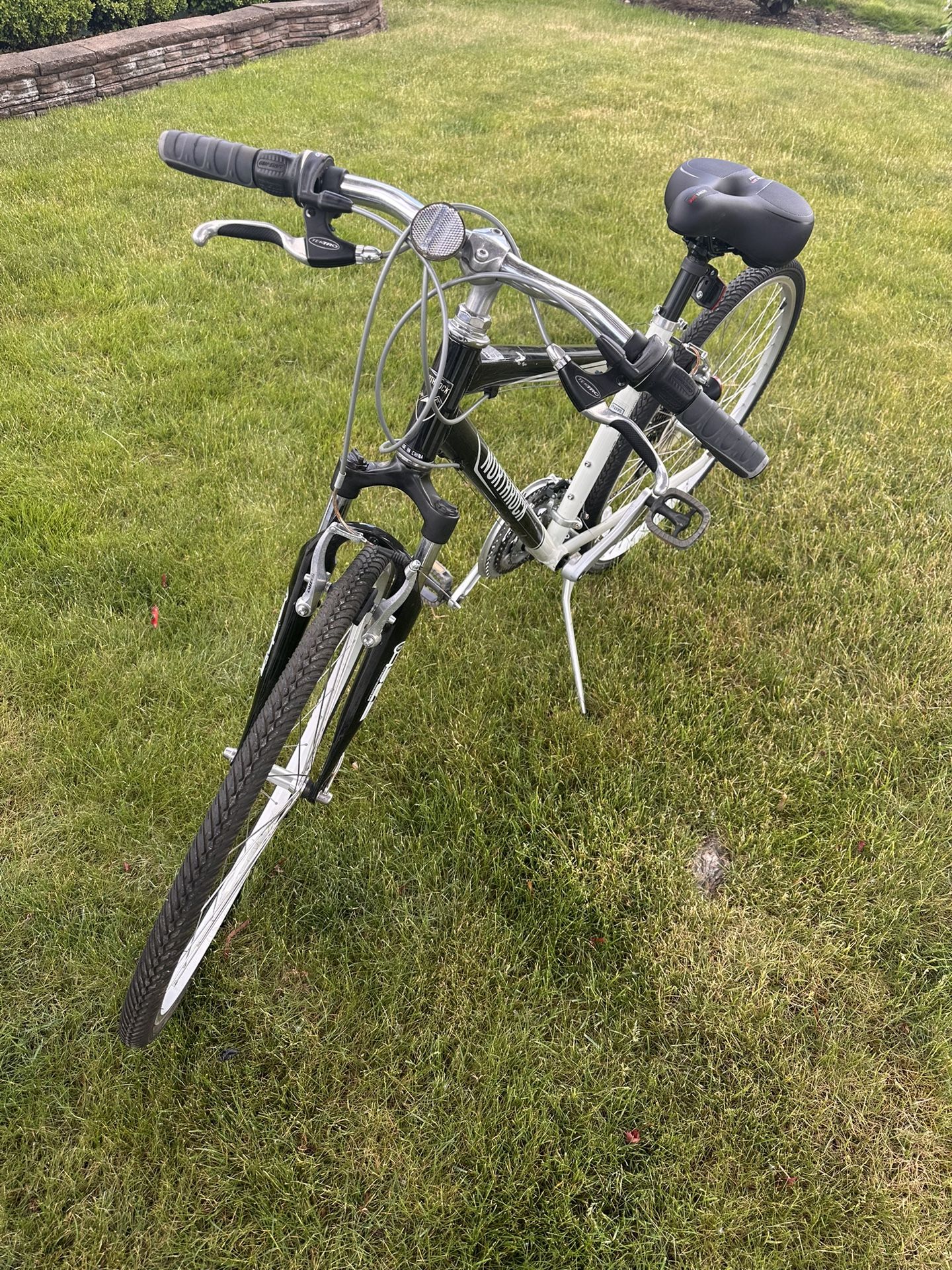 Adult Bike