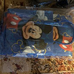 Bags And Mickey ears