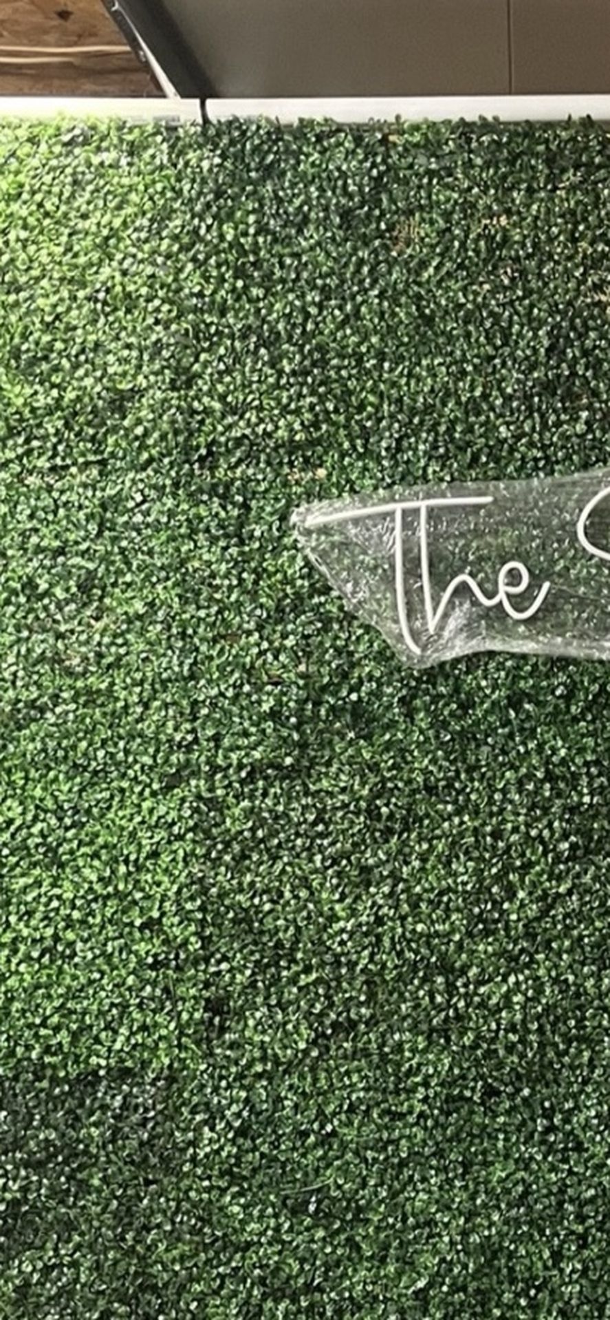 Grass Wall Disassembled (lights Not Included)