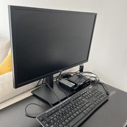 DELL e24