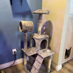 Cat Tree - 52” Tall - FREE