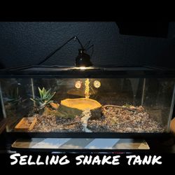 Snake Tank 