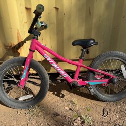 Specialized Rip Rock 16