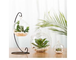 Clear Glass Cloche Hanging Dome / Terrarium