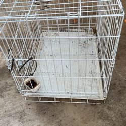 Pet/bird Cage