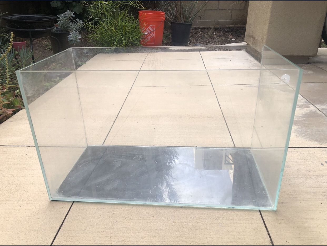 Fish Tank