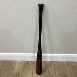 Cat 9 Baseball bat 31”