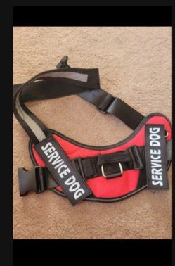 Service Dog Collar