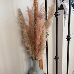 Pink And White Pampas Grass