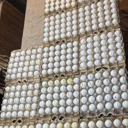 Bridgestone/Precept Golf Balls