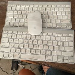 Apple Keyboards And Mouse 