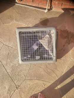Portable dog kennel