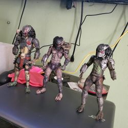 PREDATORS Model Figures