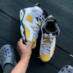 Jordan 6s 