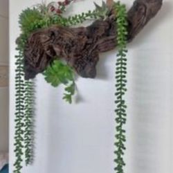Driftwood / wood  w/ hanging artificial succulents. Wall or on Table  (C description)