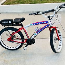 1000w E Bike Special Edition