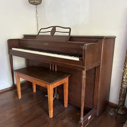 Lester Stand Up Piano
