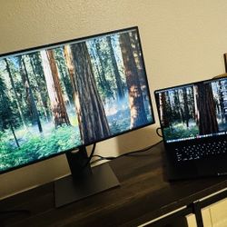 Dell UltraSharp 27” QHD Monitor (U2719D) — Excellent Condition