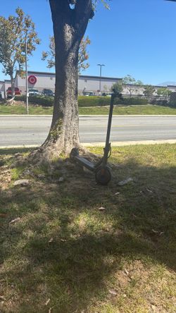 Electric scooter