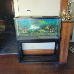 55 Gallon Tank With Stand