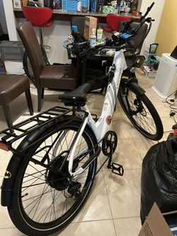 Lectric XPress ST 750