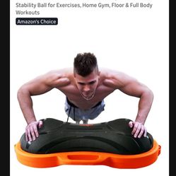 Yes 4 All Peanut Balancing Training Ball.      25 Dollars 