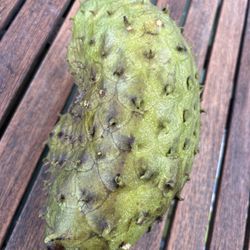 Ripe Guanabana Soursop