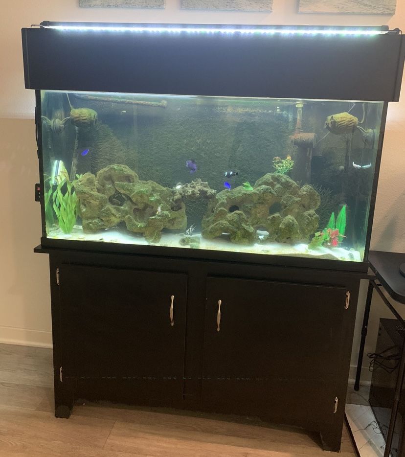 All Supplies Included! 75 Gallon Saltwater Fish Tank 