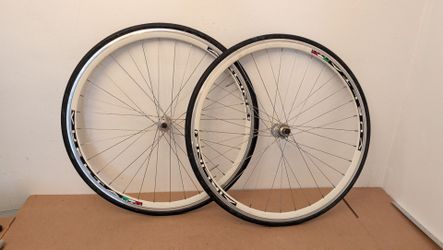 Vintage Campagnolo Record Hubs with modern 700c Rims