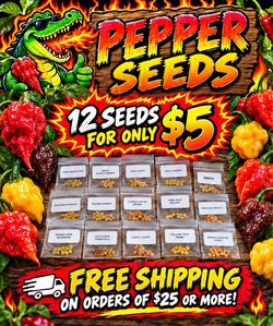 🌶️🌶️ SUPERHOT PEPPER SEEDS🌶️🌶️