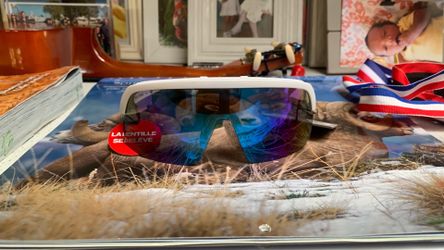 Rawlings Baseball glasses