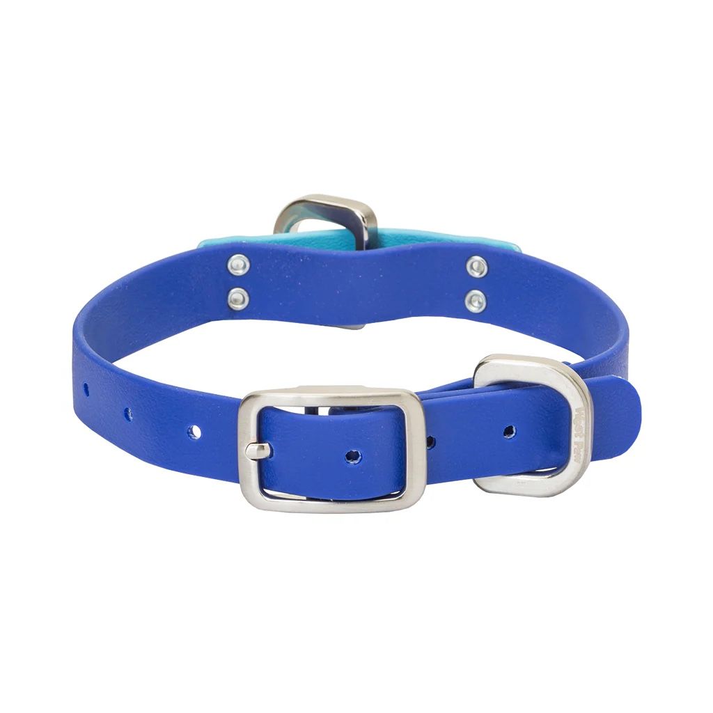 West Paw Jaunts Dog Collar, MDNGHT Blue - Aqua, Large
