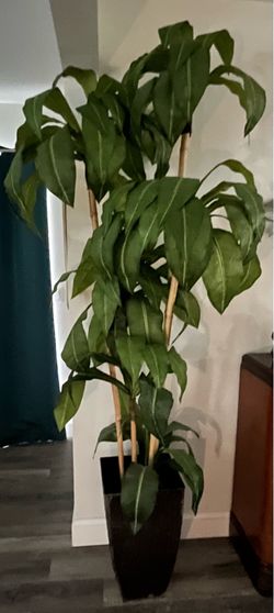 Artificial plants