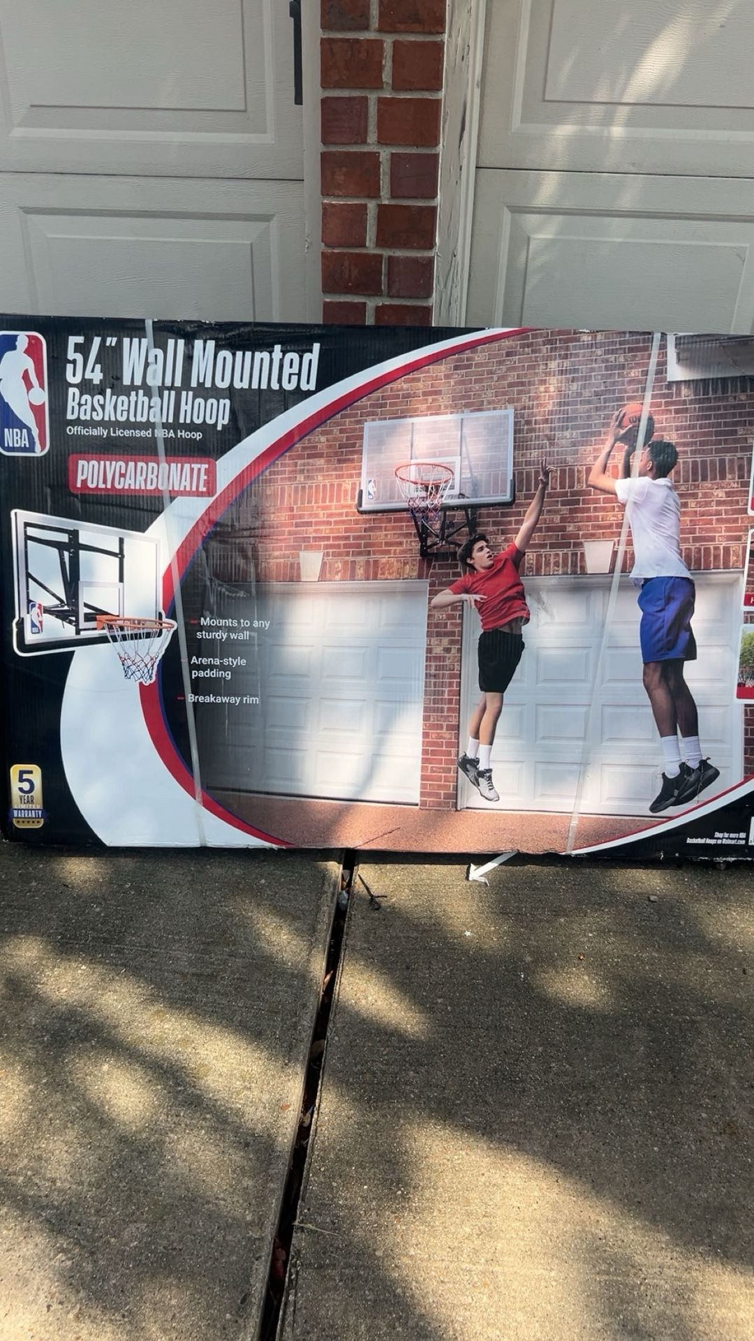 Wall Mounted Basketball Hoop
