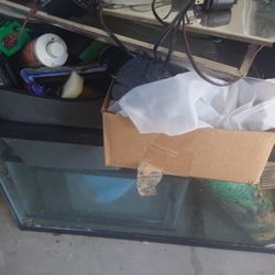 Everything Is All You Need For An Equrium 