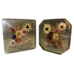 DRIED Flower Resin Block Lucite Art Dried 5x5" Set Daisy Marigold VINTAGE