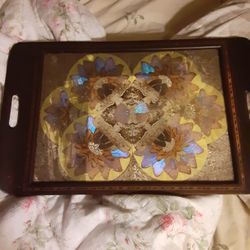 Vintage Rare Brazilian Butterfly Tray 