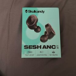 Skullcandy Sesh ANC Active Wireless Earbuds, Bluetooth 