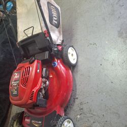 Toro Recycler 22inch