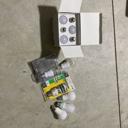 12 LED Bulbs